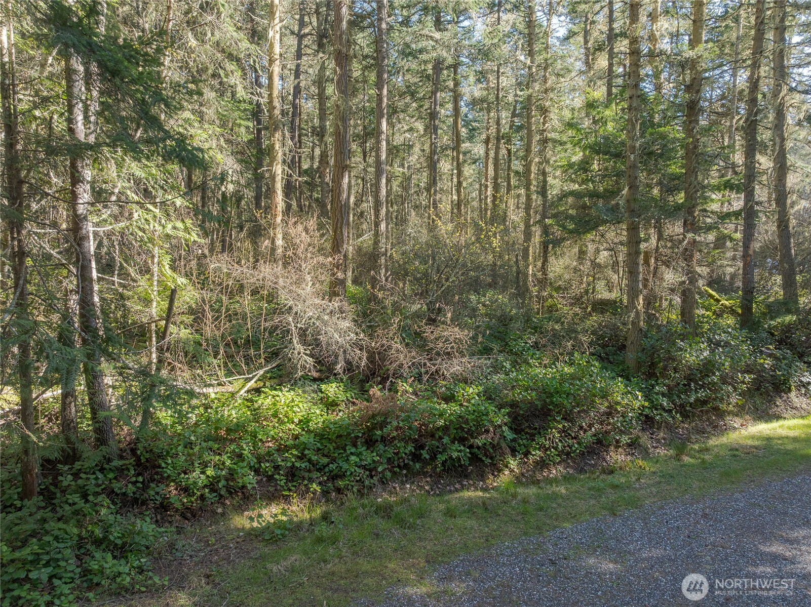 0 King's Point Road Lopez Island, WA 98261 - Photo 2 of 5