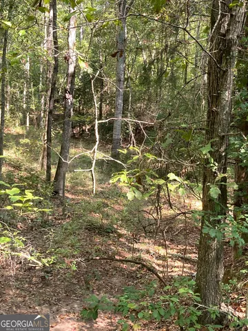 a blue sign that is sitting in front of a tree