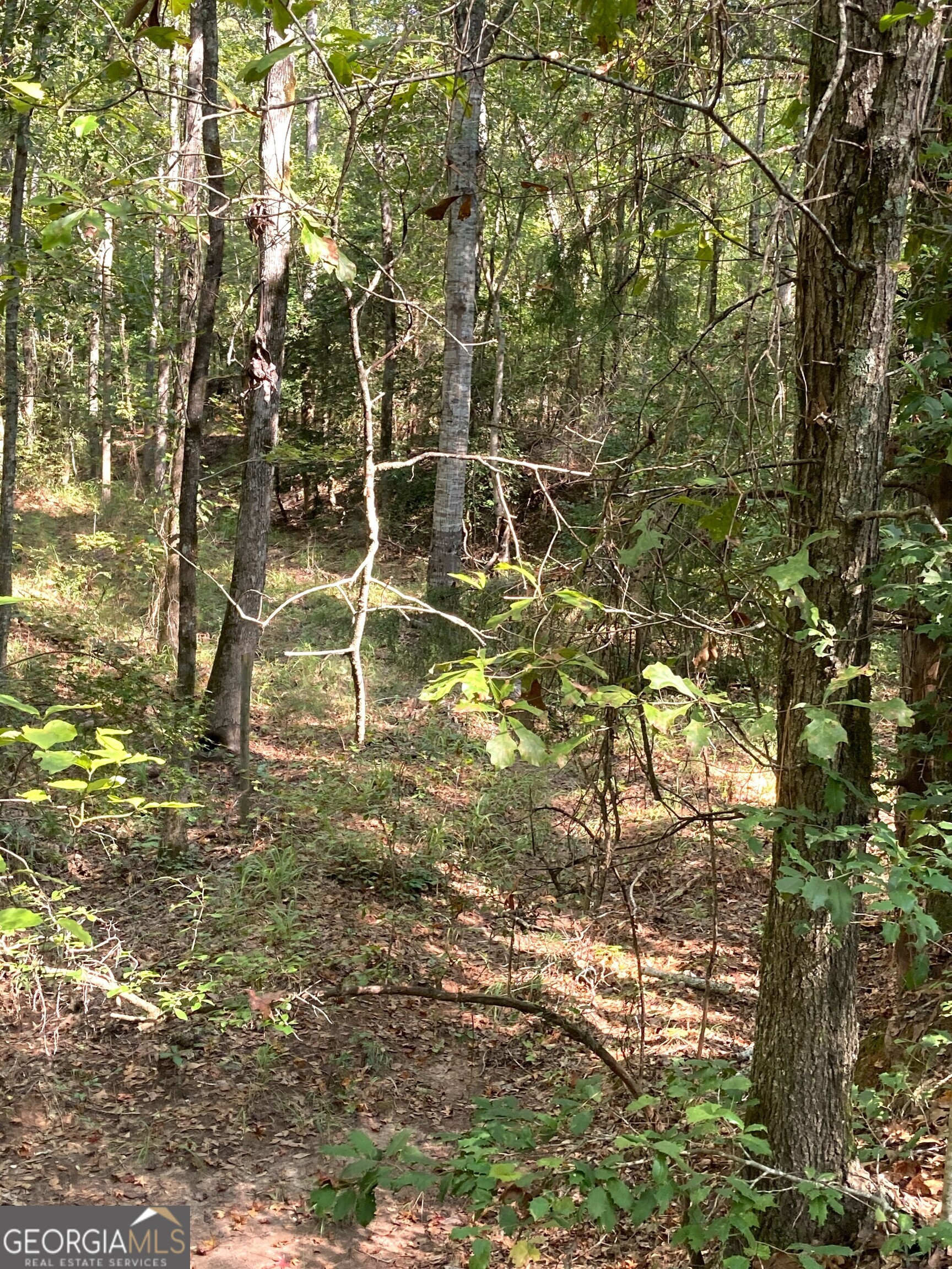 0 Firetower Road Cusseta, GA 31805 - Photo 14 of 18 a blue sign that is sitting in front of a tree