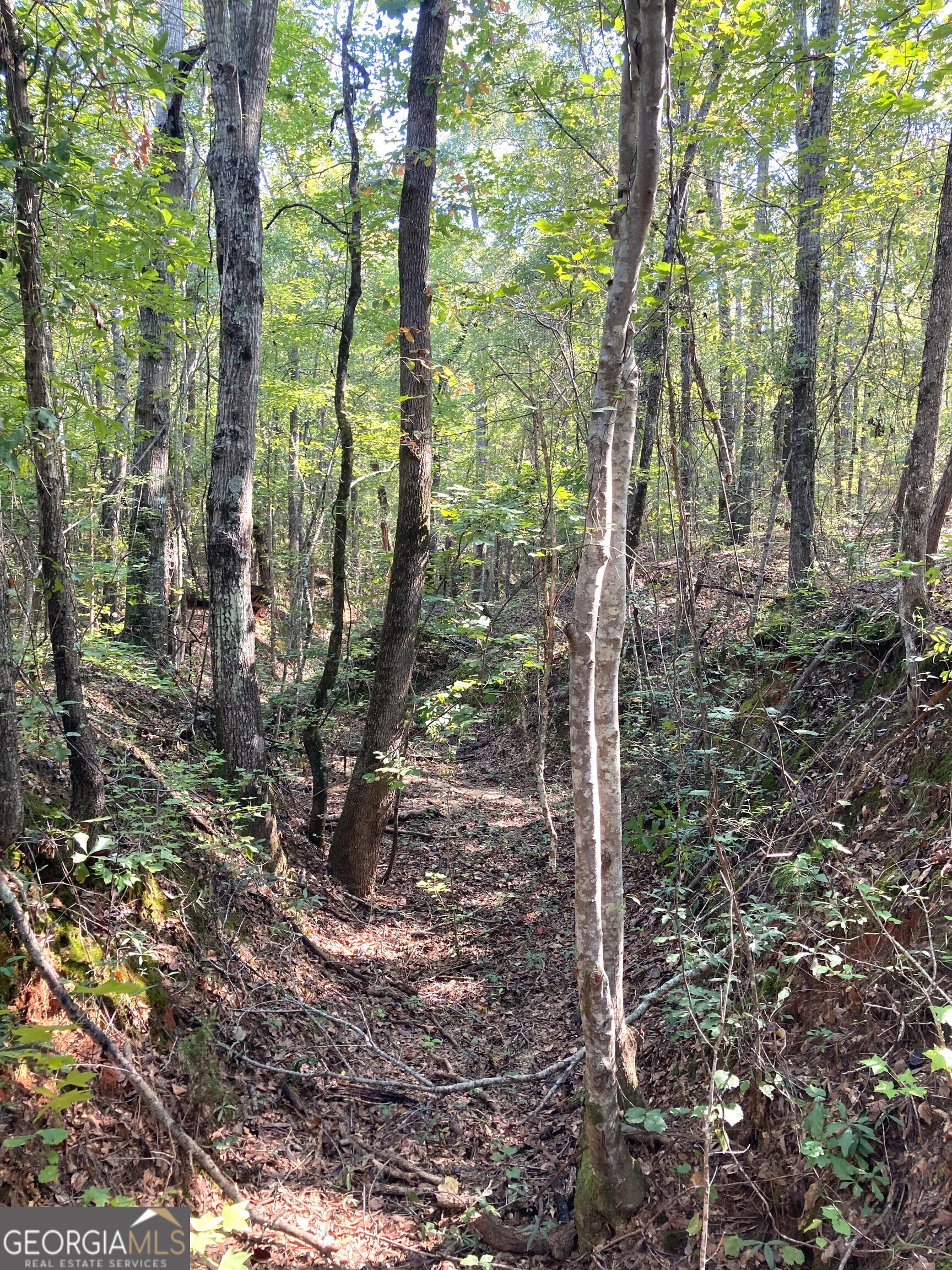 0 Firetower Road Cusseta, GA 31805 - Photo 15 of 18 a backyard of a house with lots of green space