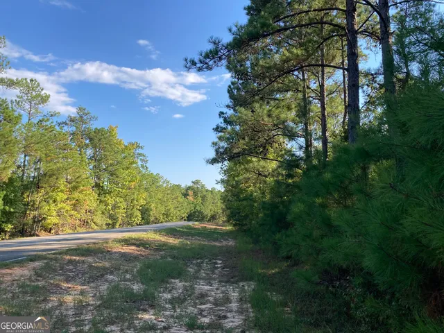a view of a yard with an trees