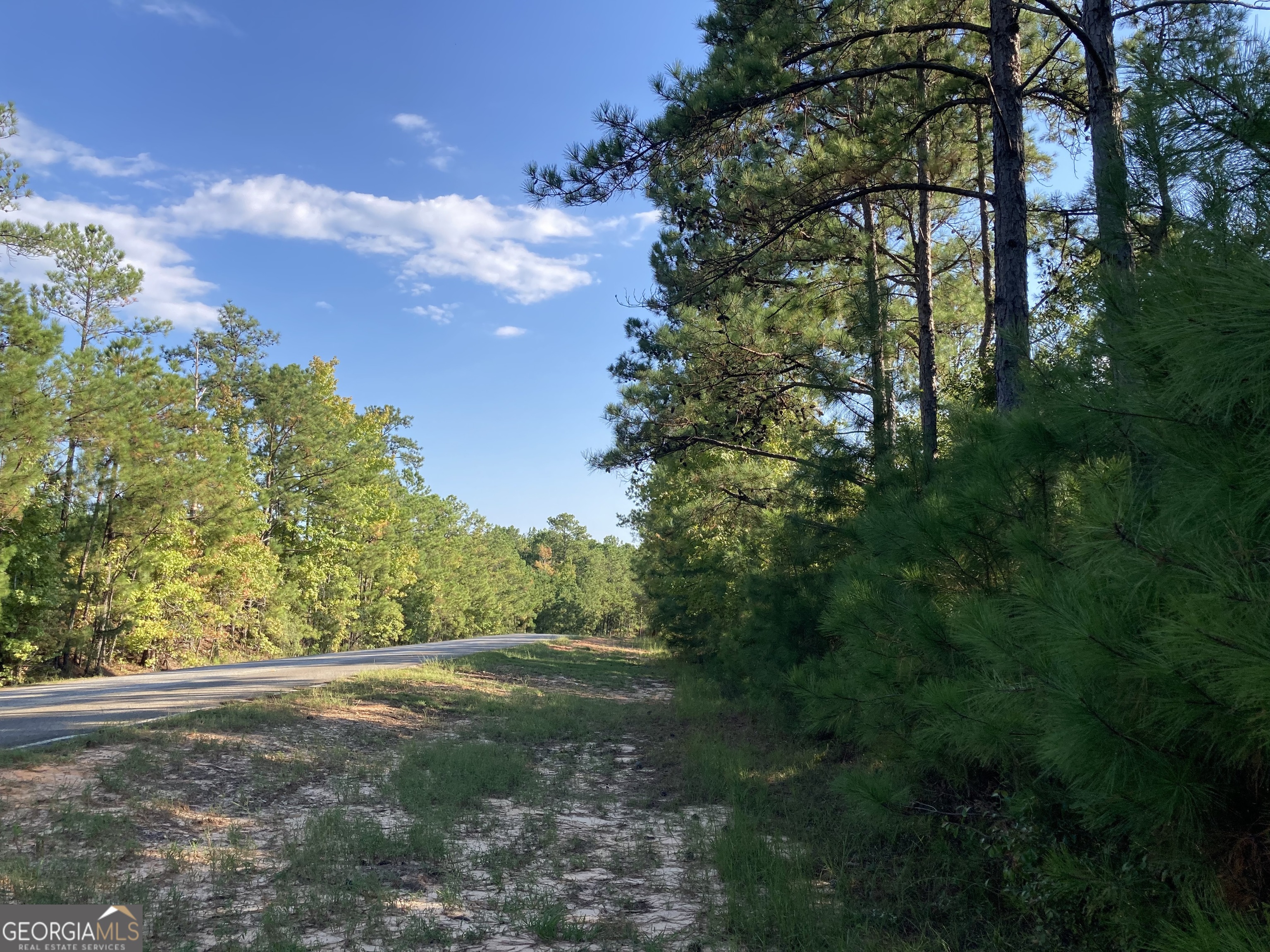 0 Firetower Road Cusseta, GA 31805 - Photo 18 of 18 a view of a yard with an trees