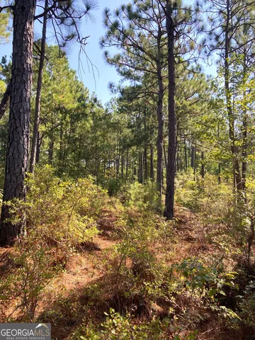 a view of a yard with trees