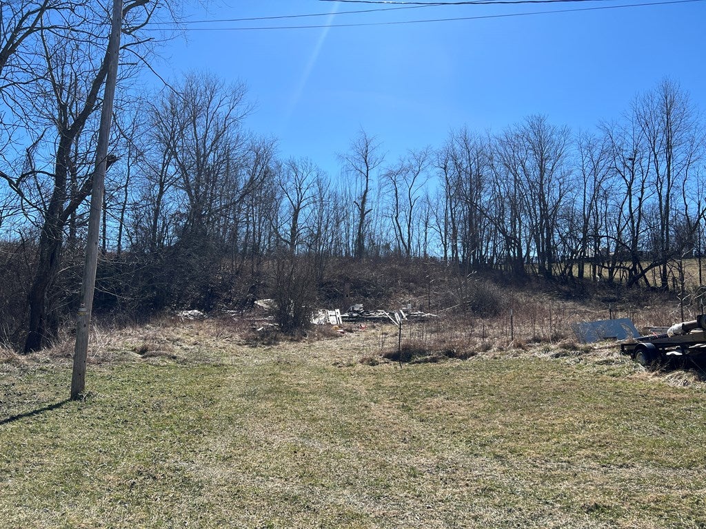 199 Dungeon Spring Road, Unit 2 Wytheville, VA 24382 - Photo 6 of 6 Gallery Image 6