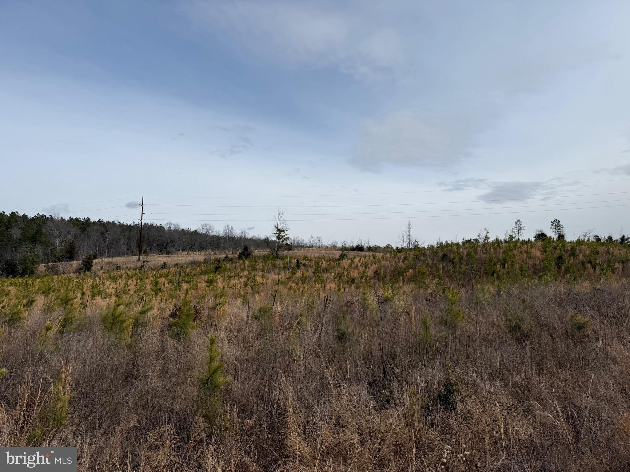 Tbd Community House Road Kents Store, VA 23084 - Photo 2 of 34