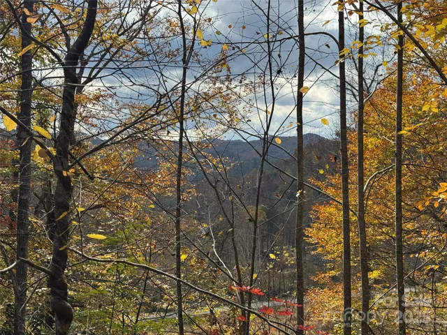 a view of a backyard