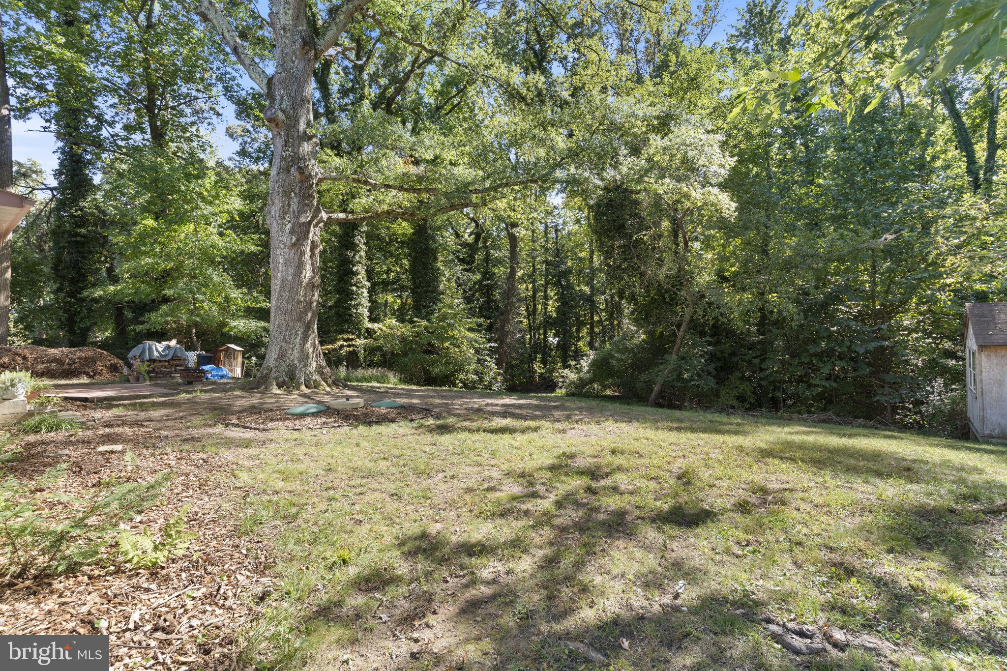 45989 Rolling Road Lexington Park, MD 20653 - Photo 32 of 33 Private, shaded backyard