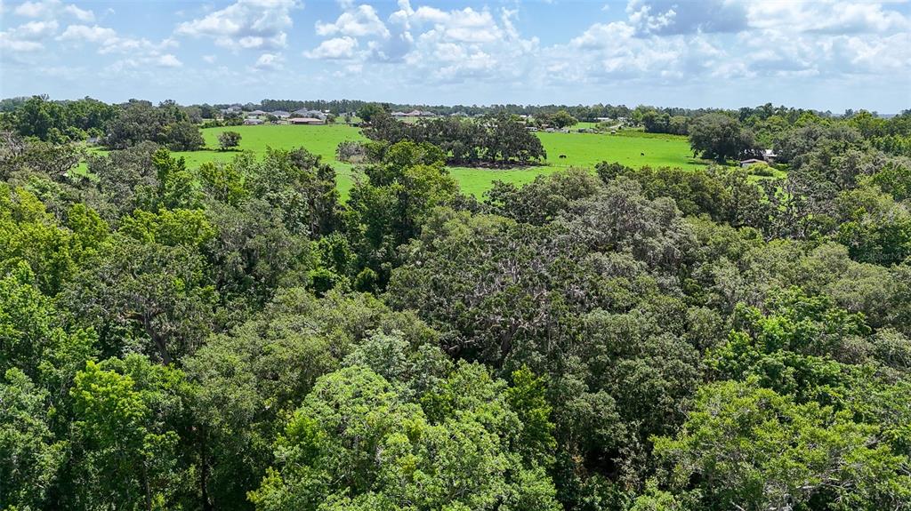 14435 Curley Road Dade City, FL 33525 - Photo 10 of 52