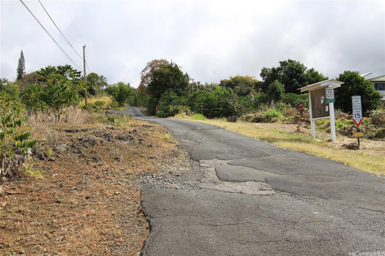 0 Kinue Road Captain Cook, HI 96704 - Photo 1 of 1 a view of a yard with plants and trees