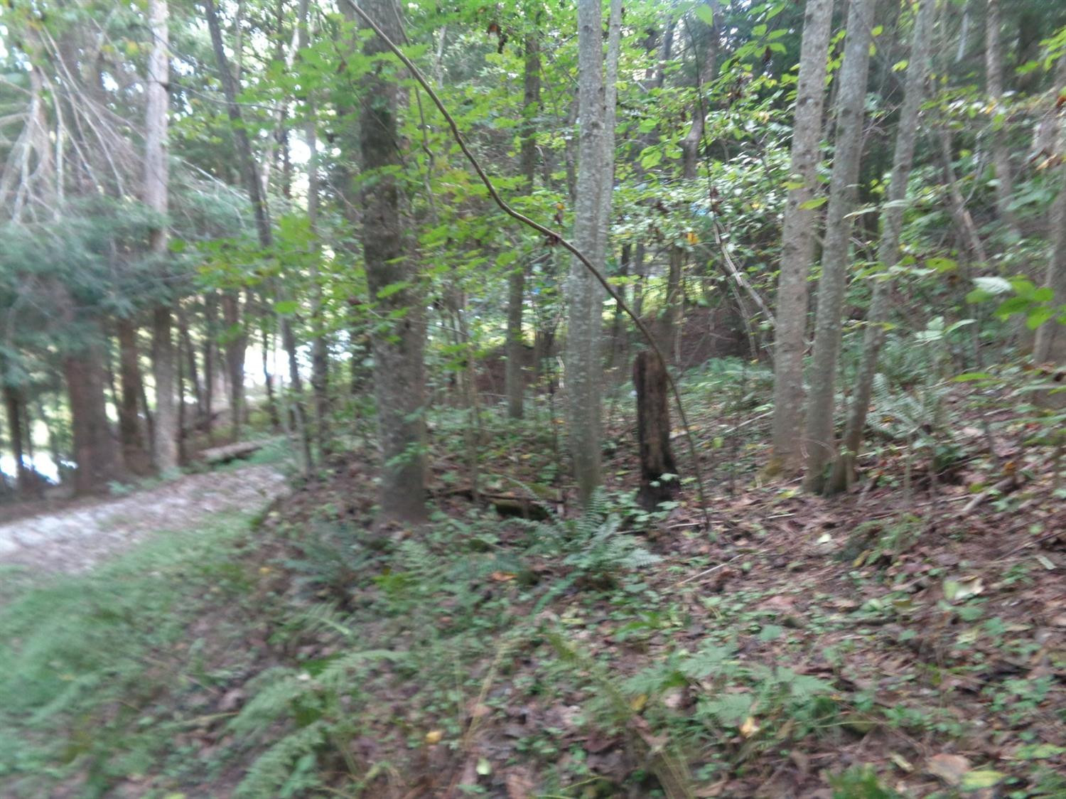 1100 Lake Road London, KY 40741 - Photo 8 of 19 Photo 8