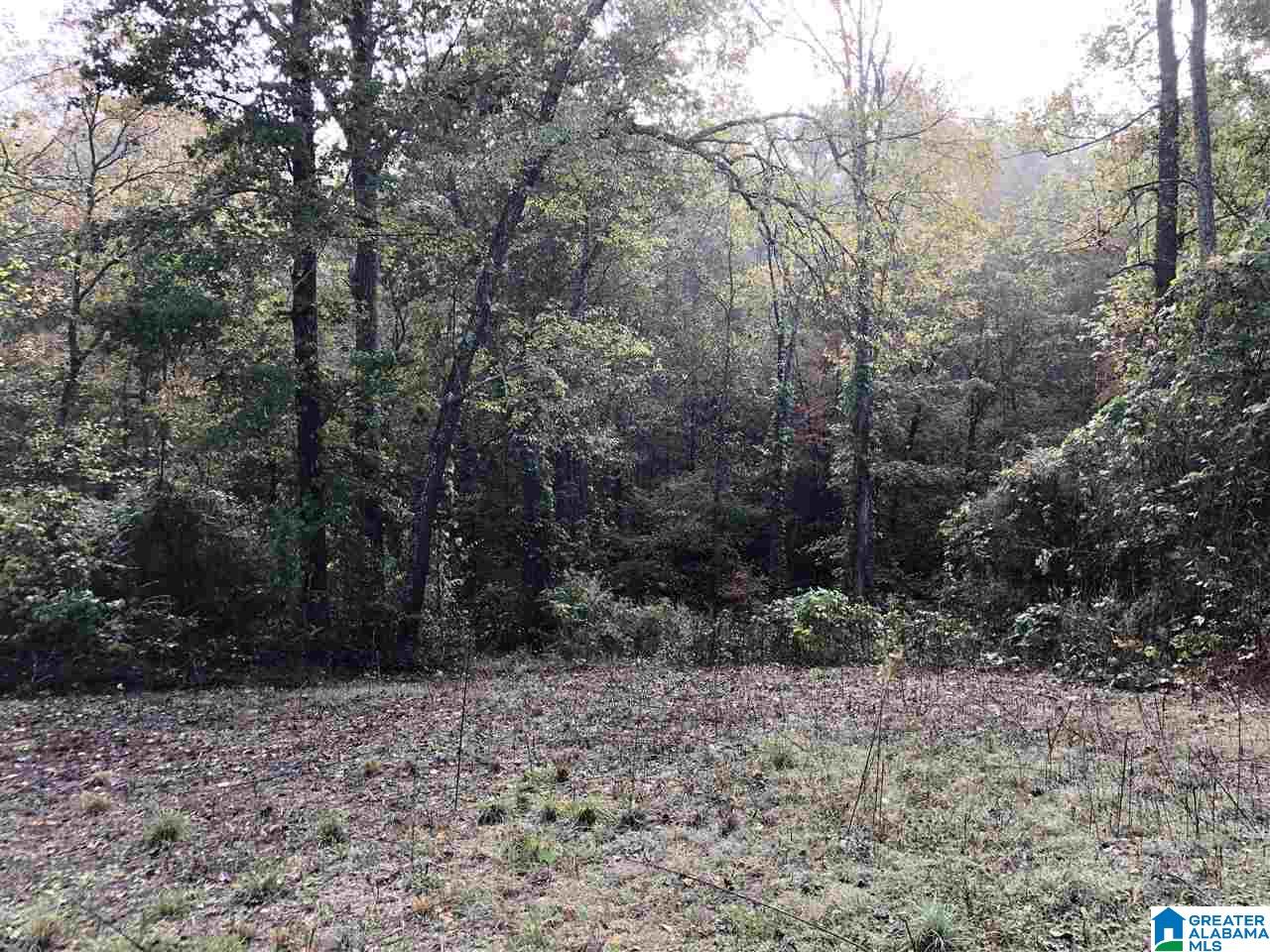 1114 Roulain Road, Unit 1114 Odenville, AL 35120 - Photo 2 of 4