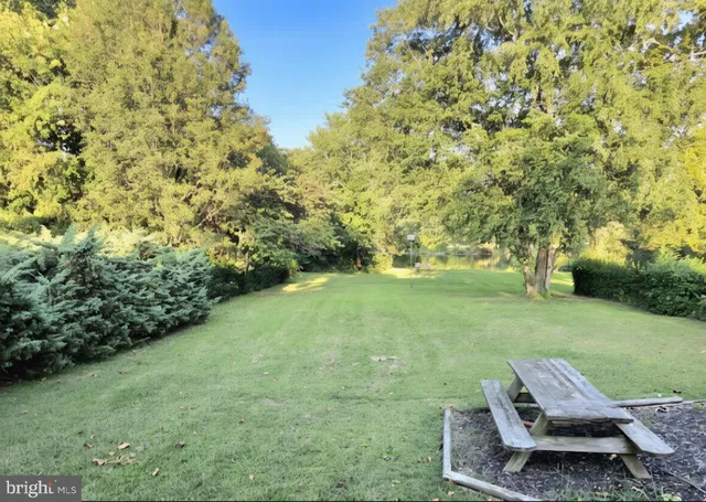 a view of a garden with lawn chairs