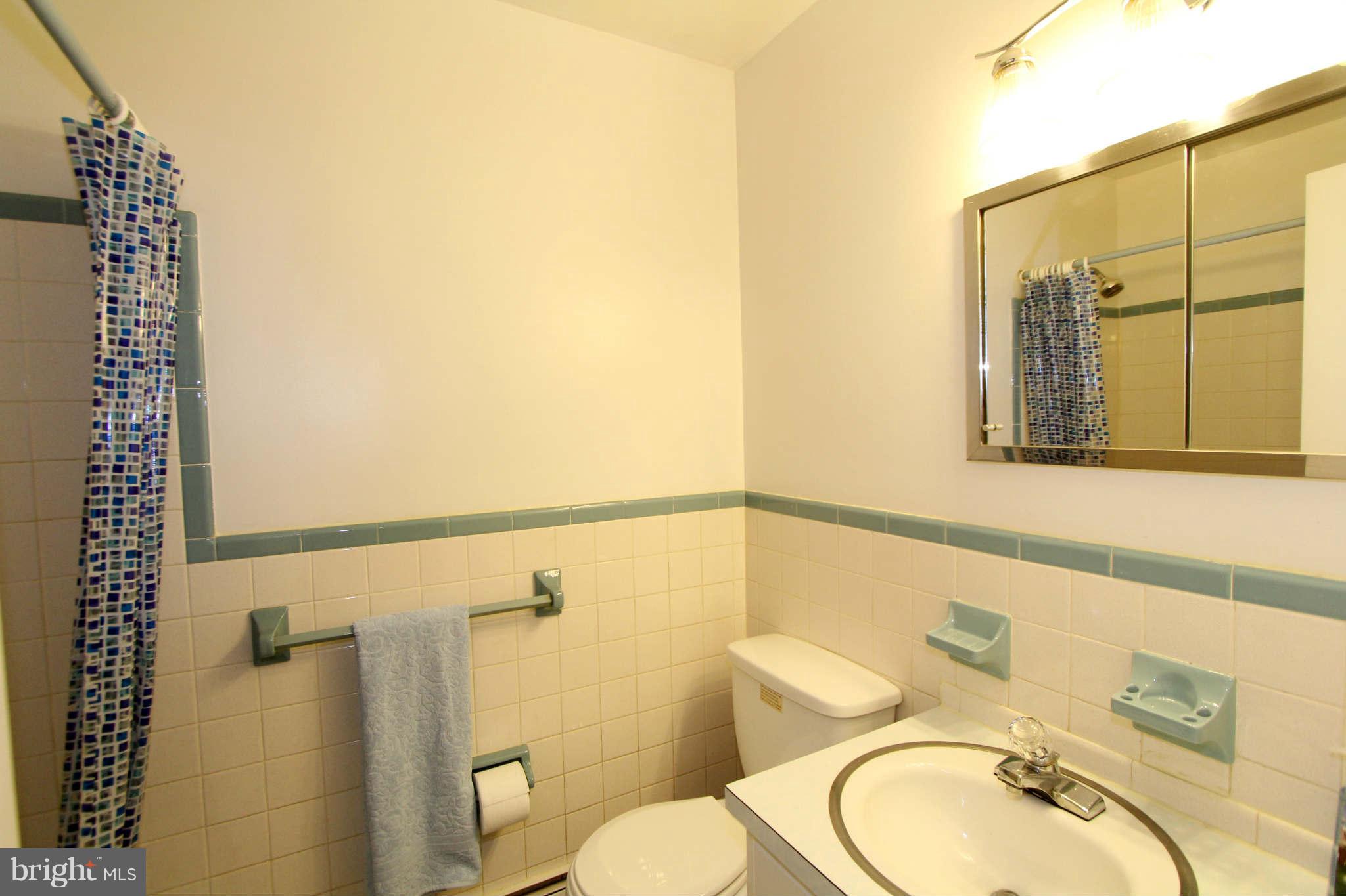 712 Harrington Road Rockville, MD 20852 - Photo 24 of 30 Hall Bathroom