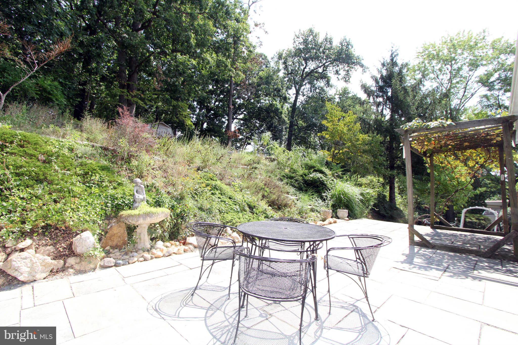 712 Harrington Road Rockville, MD 20852 - Photo 4 of 30 Patio 2