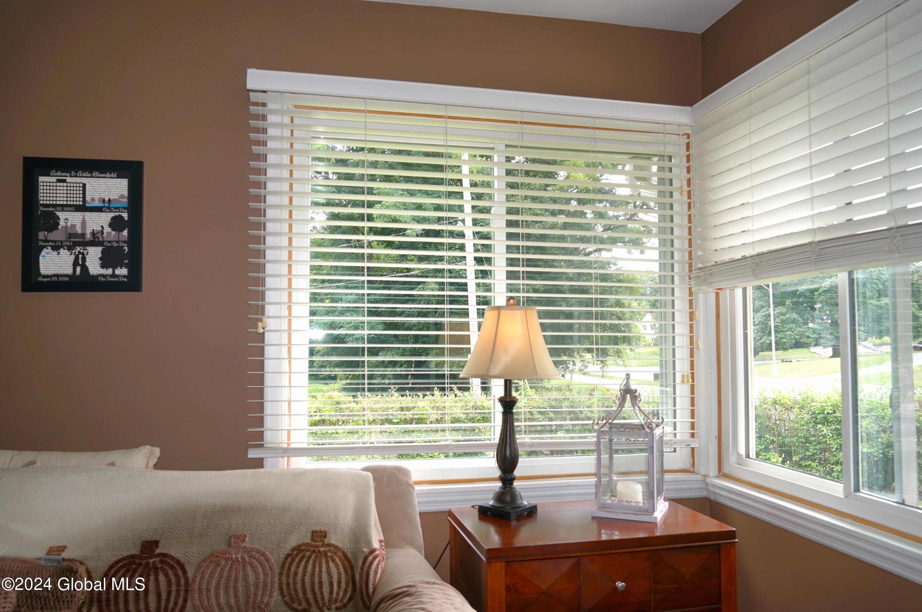 207 Hackett Boulevard Albany, NY 12208 - Photo 17 of 28 DSC09842