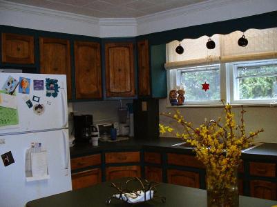 7931 Spring Creek Road Alburtis, PA 18011 - Photo 4 of 5 Center island kitchen with new countertops has plenty of cabinets for storage, new Whirlpool smooth cooktop and self-cleaning oven, new Frigidaire dishwasher, and new double bowl stainless steel sink.