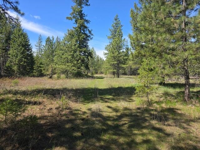 Xxx West Oregon Road Deer Park, WA 99006 - Photo 11 of 17