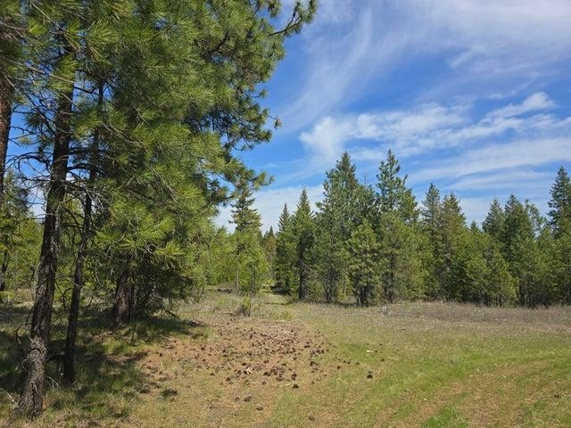 Xxx West Oregon Road Deer Park, WA 99006 - Photo 12 of 17