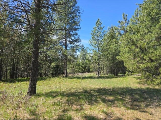 Xxx West Oregon Road Deer Park, WA 99006 - Photo 15 of 17