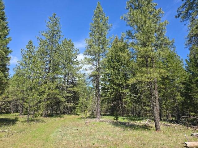 Xxx West Oregon Road Deer Park, WA 99006 - Photo 16 of 17