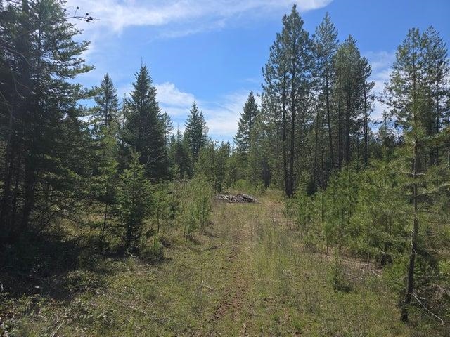 Xxx West Oregon Road Deer Park, WA 99006 - Photo 2 of 17