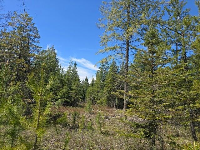 Xxx West Oregon Road Deer Park, WA 99006 - Photo 3 of 17