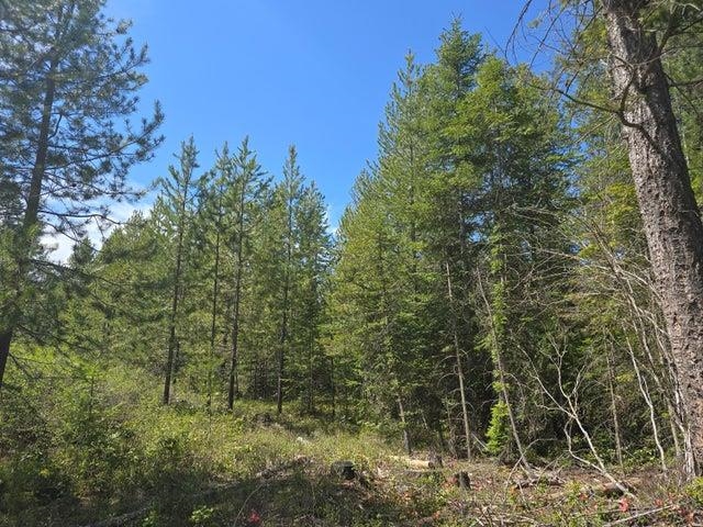 Xxx West Oregon Road Deer Park, WA 99006 - Photo 4 of 17