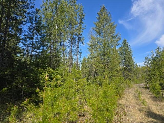 Xxx West Oregon Road Deer Park, WA 99006 - Photo 5 of 17