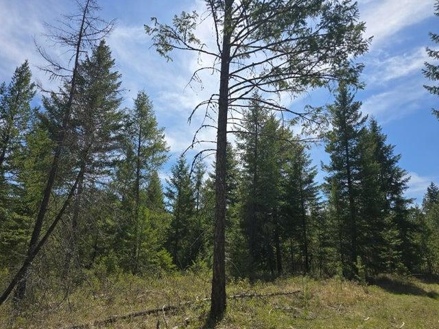 Xxx West Oregon Road Deer Park, WA 99006 - Photo 6 of 17