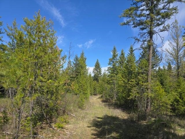 Xxx West Oregon Road Deer Park, WA 99006 - Photo 7 of 17