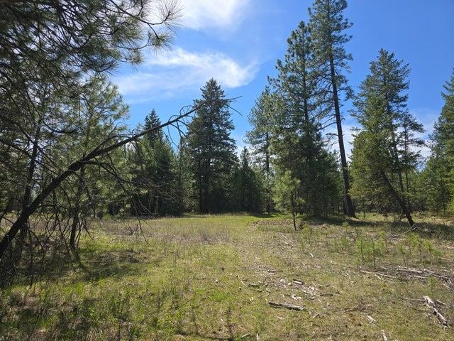 Xxx West Oregon Road Deer Park, WA 99006 - Photo 8 of 17