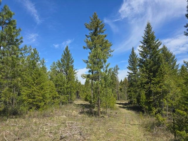 Xxx West Oregon Road Deer Park, WA 99006 - Photo 9 of 17