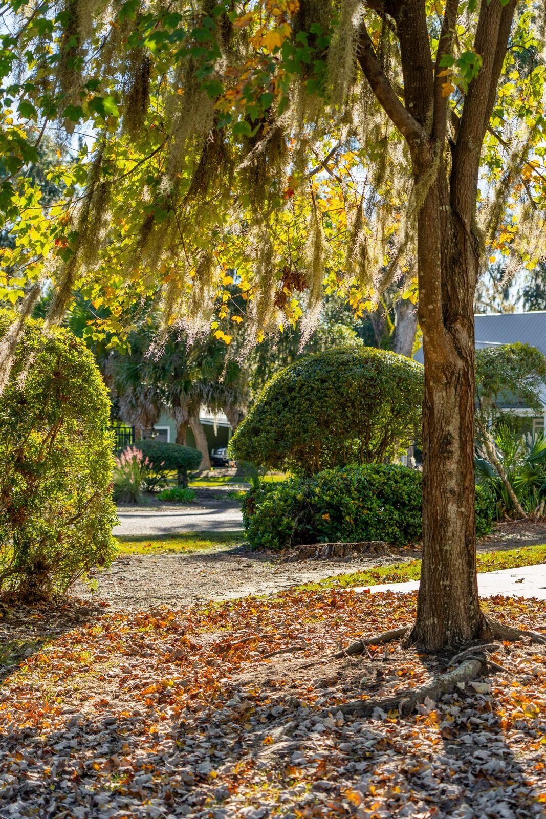 101 Angel Oaks Court Ladson, SC 29456 - Photo 6 of 46 101AngelOaksCt-KeenEyeMarketing-003