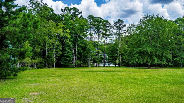 a view of a grassy field with trees in the background