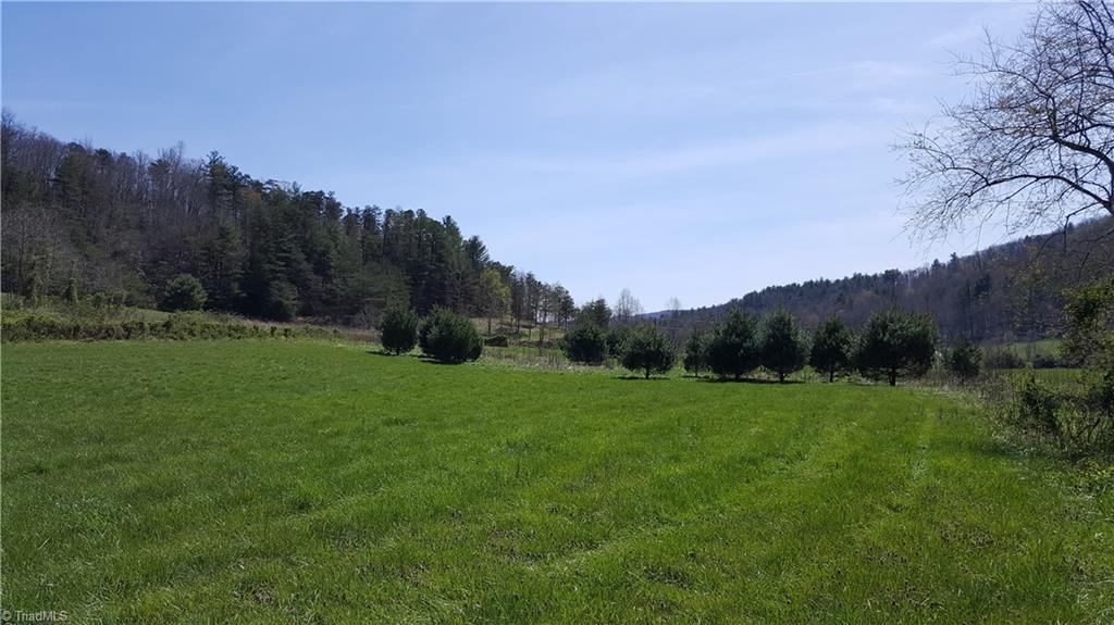 Lot 1 Longbottom Road Hays, NC 28635 - Photo 18 of 23 Gallery Image 18