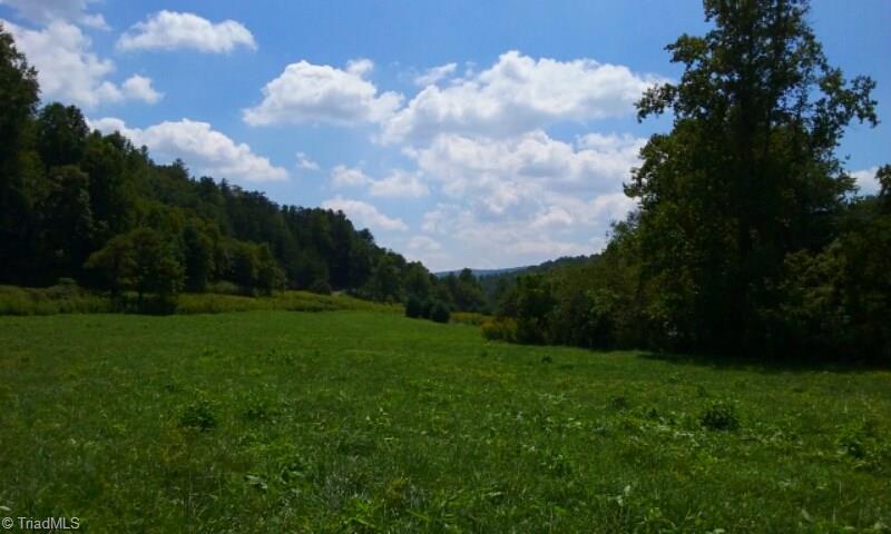 Lot 1 Longbottom Road Hays, NC 28635 - Photo 4 of 23 Gallery Image 4