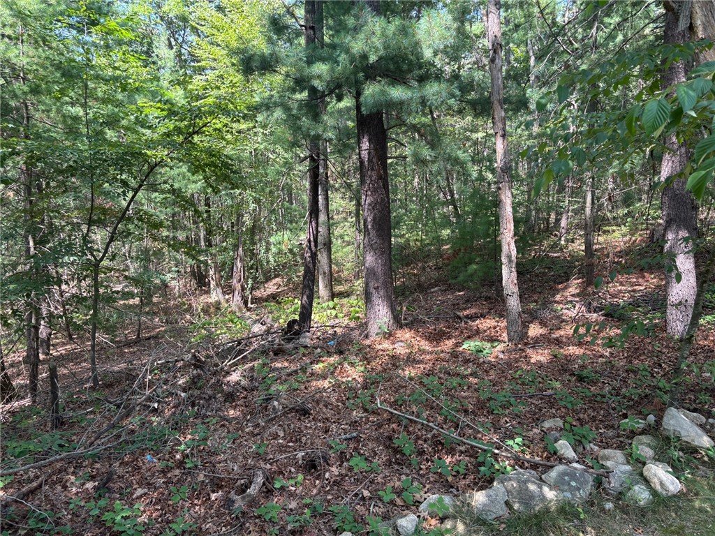 24 Whipple Road Smithfield, RI 02917 - Photo 4 of 5