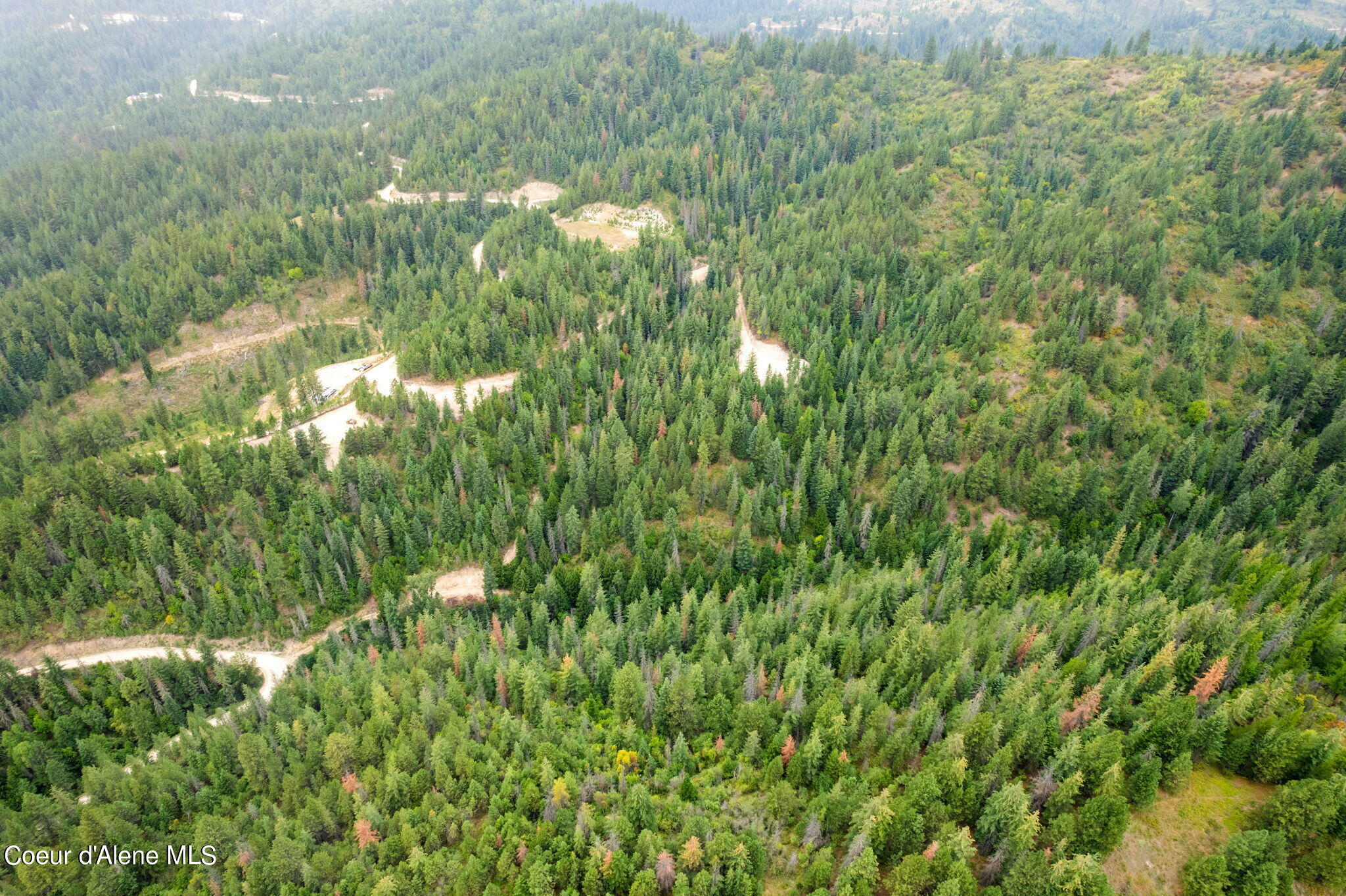 872 South Fork Ridge Road Smelterville, ID 83868 - Photo 16 of 23 16-web-or-mls-Smelterville Land-16