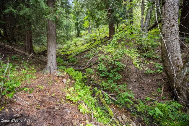 $239,000 | 872 South Fork Ridge Road, Smelterville, ID 83868