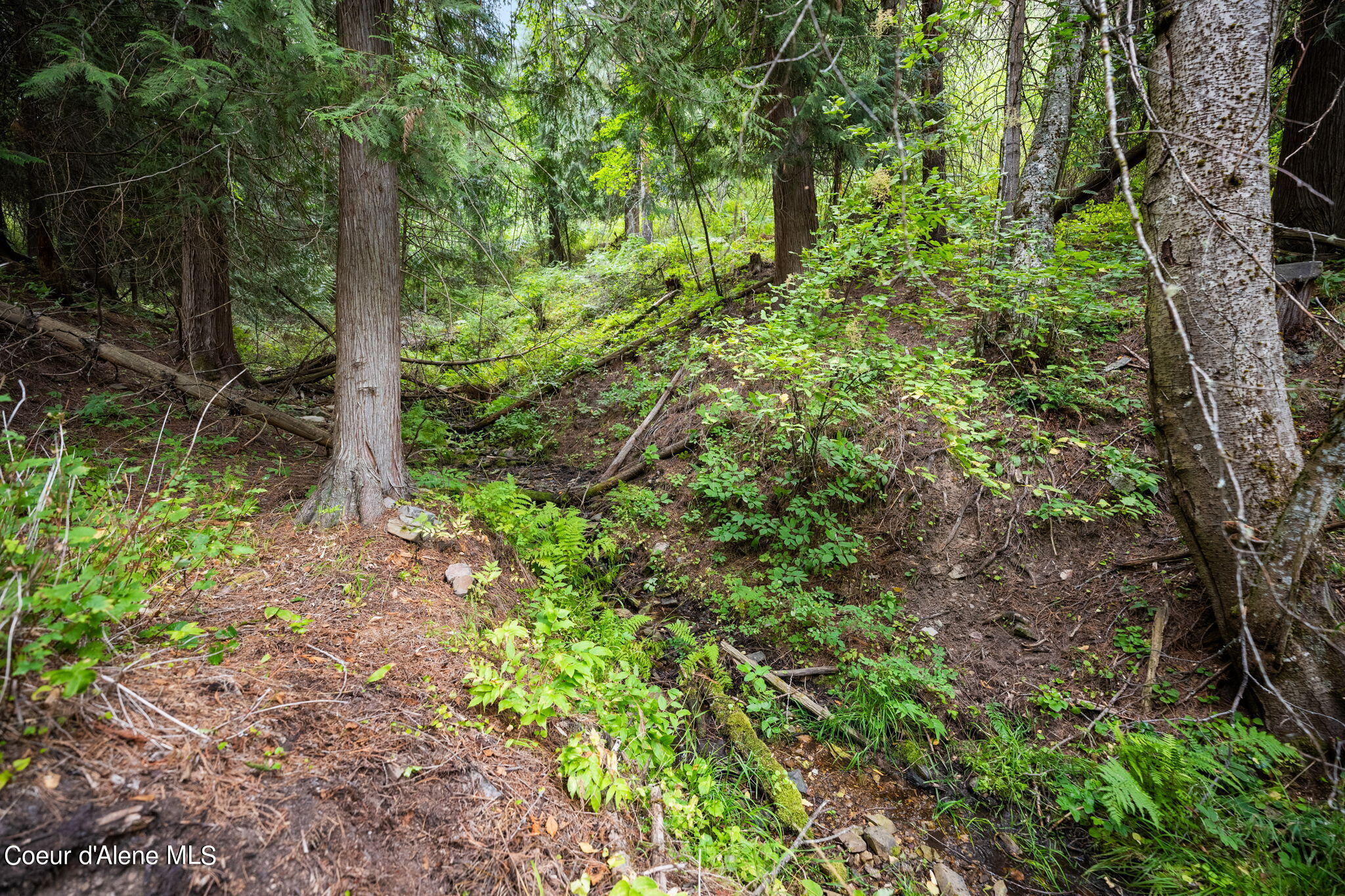 872 South Fork Ridge Road Smelterville, ID 83868 - Photo 23 of 23 23-web-or-mls-Smelterville Land-23