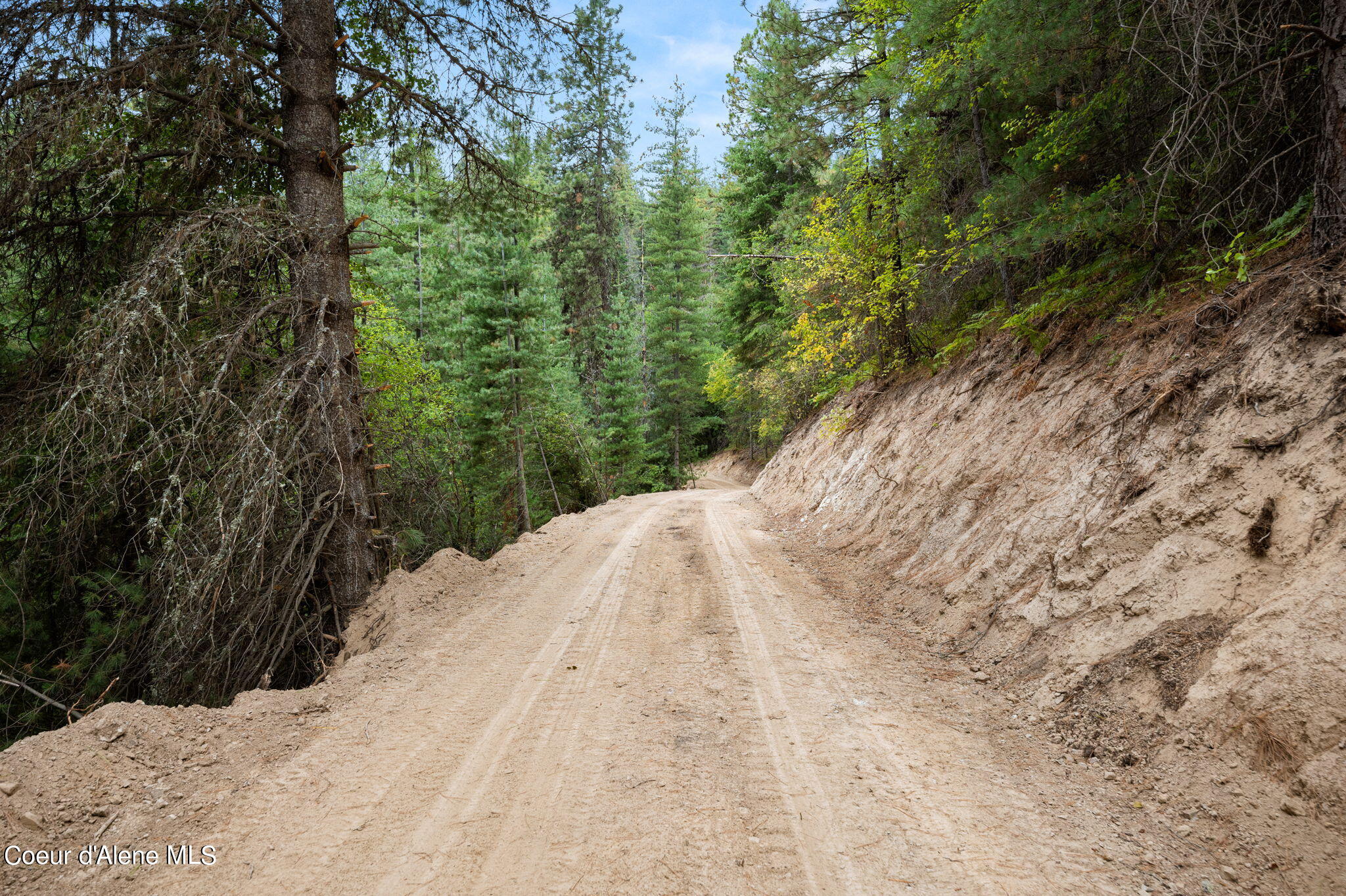 872 South Fork Ridge Road Smelterville, ID 83868 - Photo 6 of 23 6-web-or-mls-Smelterville Land-6