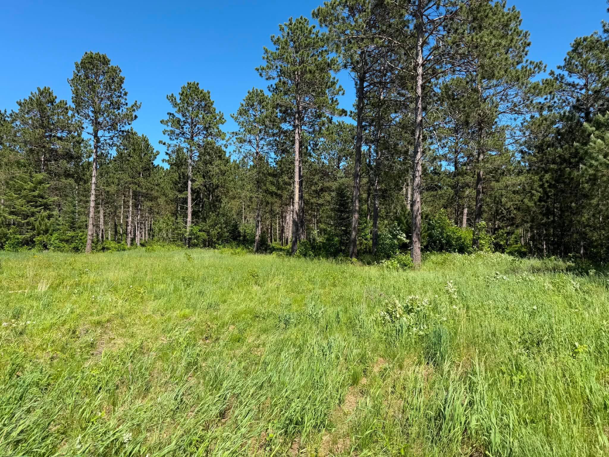 10998 Grange Road Northwest Bemidji, MN 56601 - Photo 3 of 7
