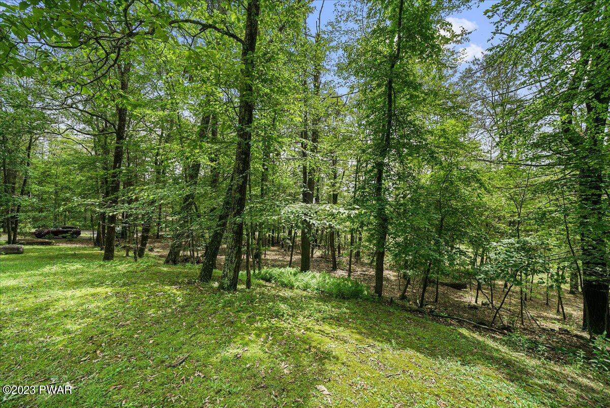 262 Foster Hill Road Milford, PA 18337 - Photo 61 of 64 Yard
