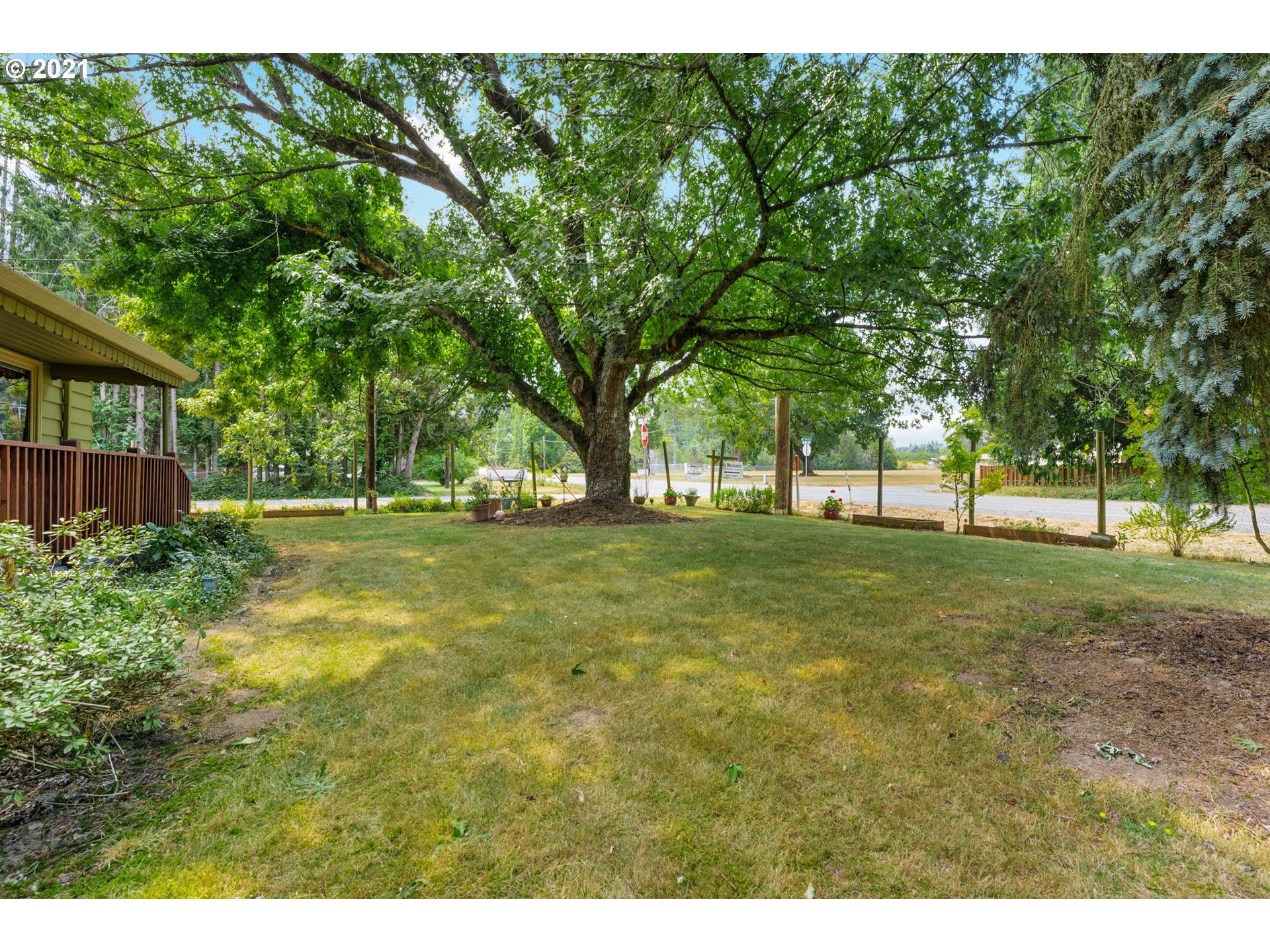 1006 Northeast 194th Street Ridgefield, WA 98642 - Photo 3 of 32 a view of yard with tree and green space