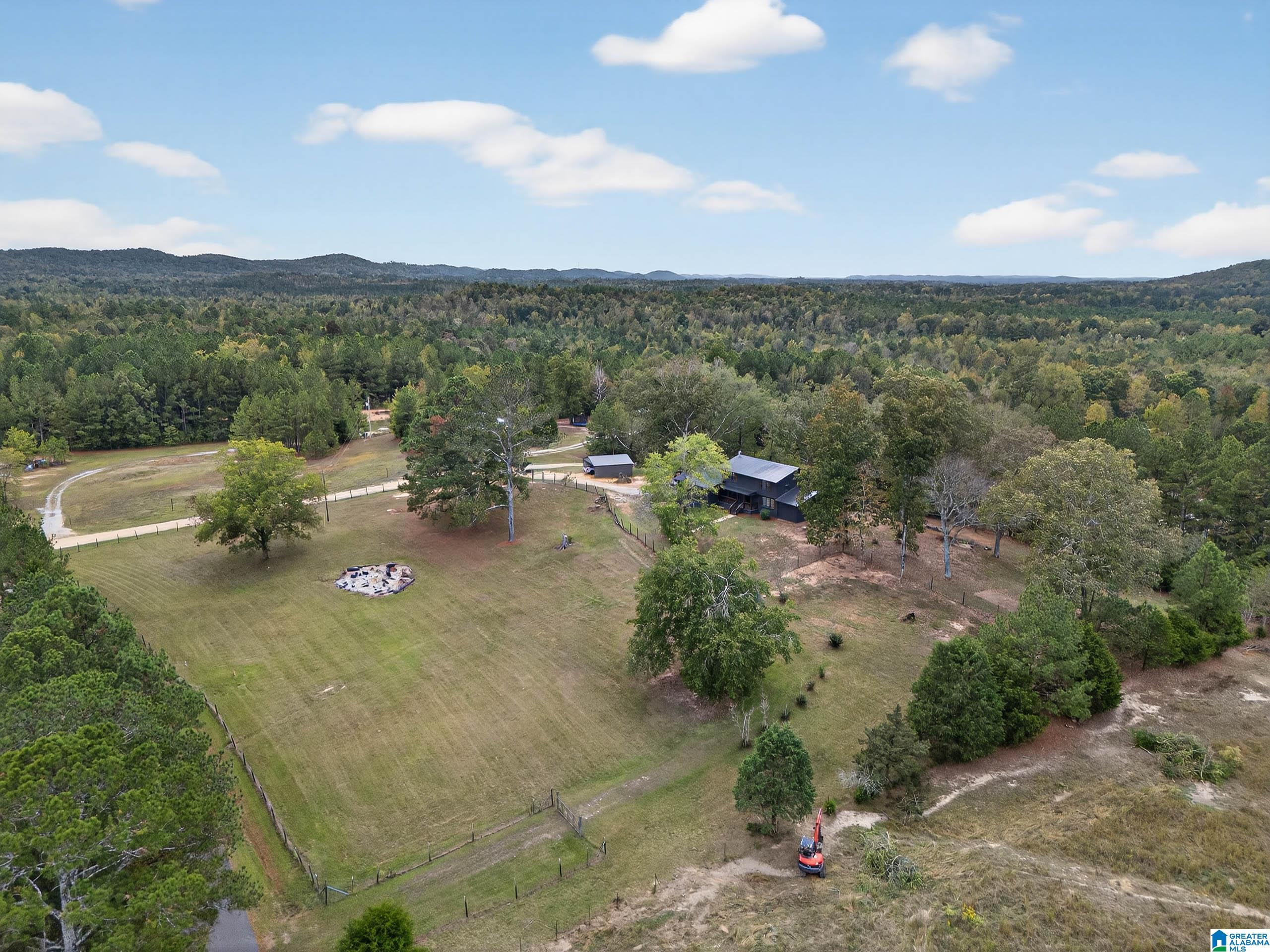 743 Dove Welch Road Wellington, AL 36279 - Photo 7 of 46