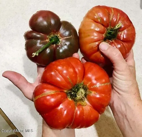 $799,000 | 2447 Turner Hill Road, Bonners Ferry, ID 83805