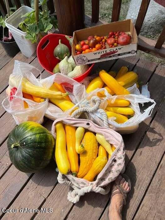 2447 Turner Hill Road Bonners Ferry, ID 83805 - Photo 52 of 107 garden squash harvest