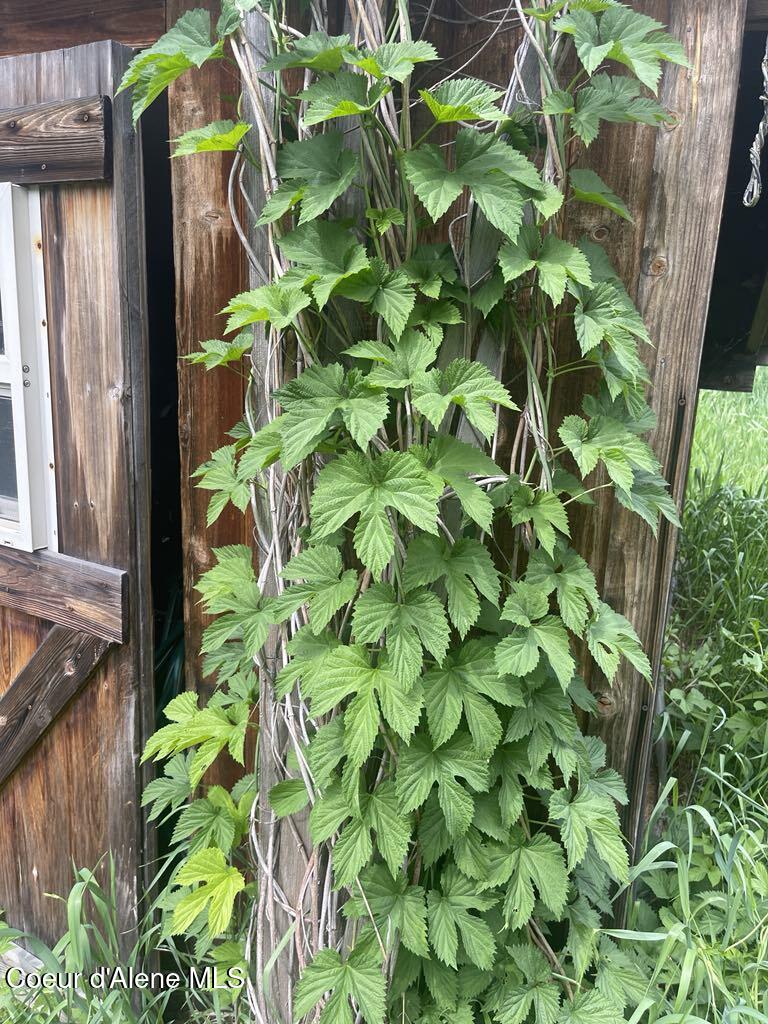 2447 Turner Hill Road Bonners Ferry, ID 83805 - Photo 54 of 107 hops