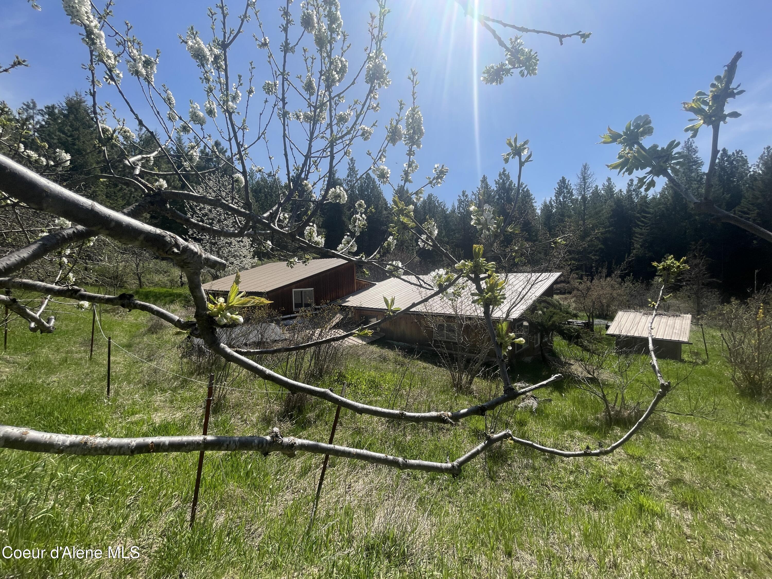 2447 Turner Hill Road Bonners Ferry, ID 83805 - Photo 55 of 107 2 IMG_0622