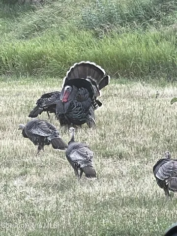 $799,000 | 2447 Turner Hill Road, Bonners Ferry, ID 83805